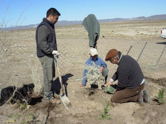 La lucha contra la desertificacin es de todos los das en la Regin Sur. 