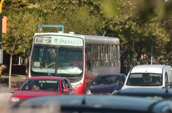 Hasta 80.000 personas se movilizan diariamente en los colectivos urbanos. 