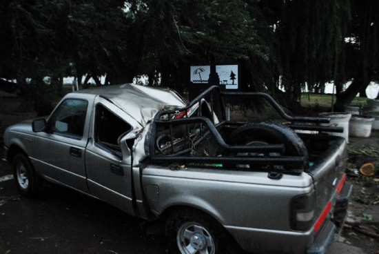 En la costanera de Patagones una camioneta fue aplastada por un rbol. 