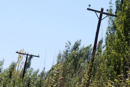 En la zona de chacras, especialmente en el rea de Mosconi, al sur de la Ruta 22, el robo de cables se ha convertido en sistemtico. 