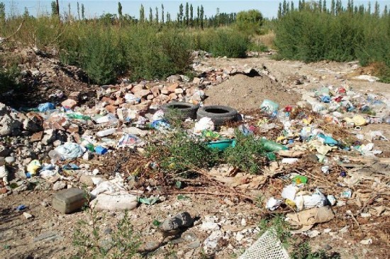 Hace un ao se comenz con la campaa de erradicacin de bolsas. 