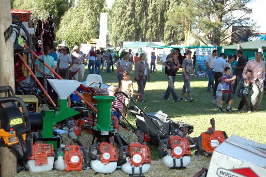 Otra jornada a pleno en la muestra de animales del norte de la Patagonia. 