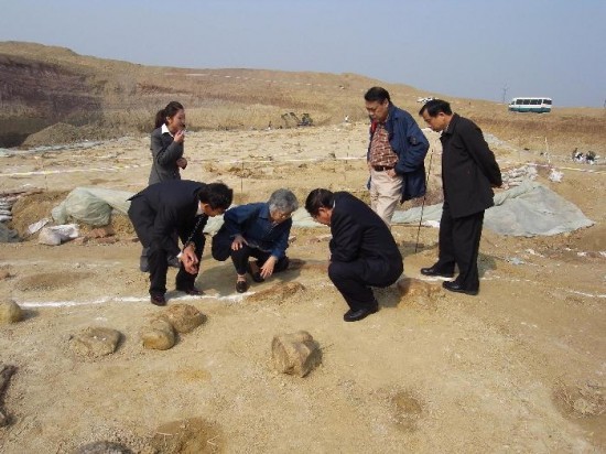 Los arquelogos chinos se mostraron sorprendidos por el nmero de rastros encontrados. 
