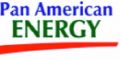Pan american energy comenzó a evaluar datos de exploración 