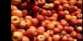 Oficial: precio de la manzana roja en Europa cay 22% 
