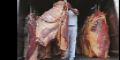 Se desploma el consumo de carne en el pas 