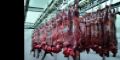 frigorfico pampeano export carne de cabra al congo 