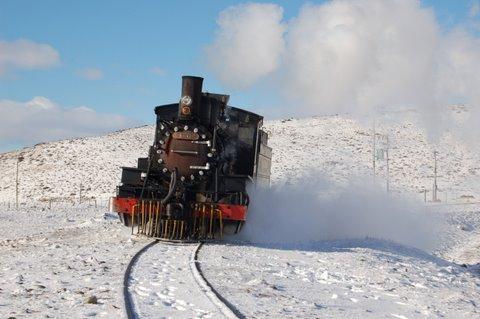 La Trochita ao 2007